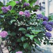 ヒメ日記 2025/06/14 23:30 投稿 南 BBW（ビッグビューティフルウーマン）