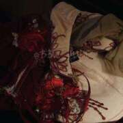 ヒメ日記 2025/07/31 08:15 投稿 南 BBW（ビッグビューティフルウーマン）