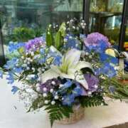 ヒメ日記 2025/07/31 16:51 投稿 南 BBW（ビッグビューティフルウーマン）