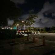 ヒメ日記 2025/09/17 22:09 投稿 南 BBW（ビッグビューティフルウーマン）