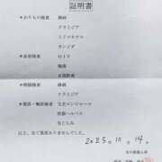 ヒメ日記 2025/10/16 08:01 投稿 南 BBW（ビッグビューティフルウーマン）