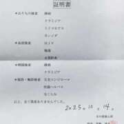 ヒメ日記 2025/10/16 08:09 投稿 南 BBW（ビッグビューティフルウーマン）