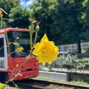 ヒメ日記 2025/11/01 15:21 投稿 南 BBW（ビッグビューティフルウーマン）