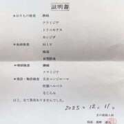 ヒメ日記 2025/12/19 14:49 投稿 南 BBW（ビッグビューティフルウーマン）