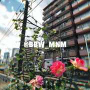 ヒメ日記 2026/02/19 16:10 投稿 南 BBW（ビッグビューティフルウーマン）