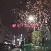 ヒメ日記 2026/03/21 20:43 投稿 南 BBW（ビッグビューティフルウーマン）