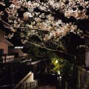 ヒメ日記 2026/03/22 20:01 投稿 南 BBW（ビッグビューティフルウーマン）