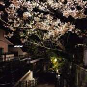 ヒメ日記 2026/03/22 20:20 投稿 南 BBW（ビッグビューティフルウーマン）