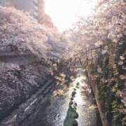 ヒメ日記 2026/03/25 12:03 投稿 南 BBW（ビッグビューティフルウーマン）