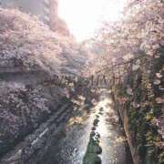 ヒメ日記 2026/03/25 12:10 投稿 南 BBW（ビッグビューティフルウーマン）