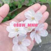 ヒメ日記 2026/04/03 13:33 投稿 南 BBW（ビッグビューティフルウーマン）