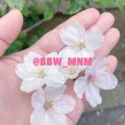 ヒメ日記 2026/04/03 13:52 投稿 南 BBW（ビッグビューティフルウーマン）