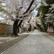 ヒメ日記 2026/04/03 17:02 投稿 南 BBW（ビッグビューティフルウーマン）