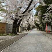 ヒメ日記 2026/04/03 17:12 投稿 南 BBW（ビッグビューティフルウーマン）