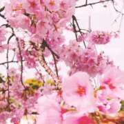 ヒメ日記 2026/04/12 13:45 投稿 南 BBW（ビッグビューティフルウーマン）