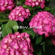 南 🗓 BBW（ビッグビューティフルウーマン）