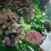 ヒメ日記 2026/07/05 10:19 投稿 南 BBW（ビッグビューティフルウーマン）