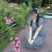 ヒメ日記 2026/03/23 21:19 投稿 美琴　せいら OLピンクコレクション