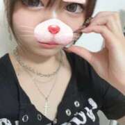 ヒメ日記 2026/04/01 01:53 投稿 うい Club Paradise（クラブパラダイス）