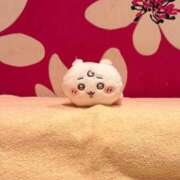 ヒメ日記 2026/10/05 23:23 投稿 みる SOPHIA（ソフィア）