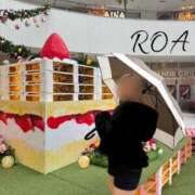 ヒメ日記 2026/04/23 18:26 投稿 ろあ(新人割6/6まで) ニュー不夜城