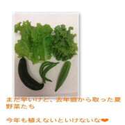 ヒメ日記 2026/03/21 15:23 投稿 すずらん未経験 マダム可憐