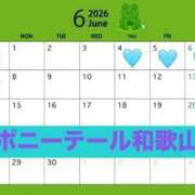 ヒメ日記 2026/06/01 19:48 投稿 こはね【某人気店No1】 ポニーテール和歌山店