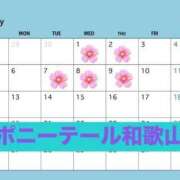 ヒメ日記 2026/06/28 09:19 投稿 こはね【某人気店No1】 ポニーテール和歌山店