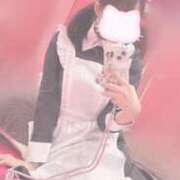 ヒメ日記 2026/07/22 21:08 投稿 こはね【某人気店No1】 ポニーテール和歌山店