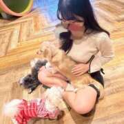 ヒメ日記 2026/03/12 20:20 投稿 かのん Beppin house