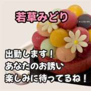 ヒメ日記 2026/03/08 22:32 投稿 若草みどり 五十路マダム愛されたい熟女たち岡山店（カサブランカグループ）