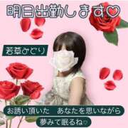 ヒメ日記 2026/03/25 21:50 投稿 若草みどり 五十路マダム愛されたい熟女たち岡山店（カサブランカグループ）