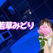 ヒメ日記 2026/09/02 21:36 投稿 若草みどり 五十路マダム愛されたい熟女たち岡山店（カサブランカグループ）