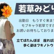 ヒメ日記 2026/09/12 19:38 投稿 若草みどり 五十路マダム愛されたい熟女たち岡山店（カサブランカグループ）