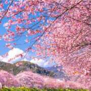 ヒメ日記 2026/03/05 09:56 投稿 はづき シークレットタッチ