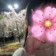 ヒメ日記 2026/03/02 14:46 投稿 中島　はな NADIA神戸店