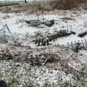 ヒメ日記 2026/03/10 09:51 投稿 静香（しずか） 松戸デリヘル　熟女ヘブン