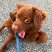 ヒメ日記 2026/03/12 14:21 投稿 静香（しずか） 松戸デリヘル　熟女ヘブン