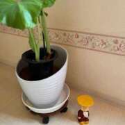 ヒメ日記 2026/03/20 10:02 投稿 静香（しずか） 松戸デリヘル　熟女ヘブン