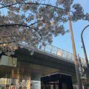 ヒメ日記 2026/04/03 21:02 投稿 たぴ ドMなバニーちゃん徳島店