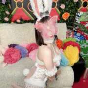 ヒメ日記 2026/03/18 16:43 投稿 きい ロイヤルフラッシュ