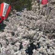 ヒメ日記 2026/04/07 12:06 投稿 れのてぃ イクイクサークル鶯谷店