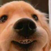 ヒメ日記 2026/03/10 18:02 投稿 あい エスッテ×エスッテ