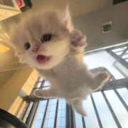 ヒメ日記 2026/03/15 22:01 投稿 あい エスッテ×エスッテ