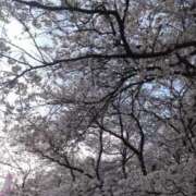 ヒメ日記 2026/04/03 15:20 投稿 みちる タレントCLUB