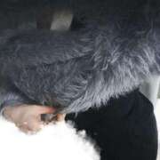 ヒメ日記 2026/04/02 23:34 投稿 なぎ 京都ホテヘル倶楽部