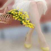 ヒメ日記 2026/03/21 15:15 投稿 品川 熟女の風俗最終章 新横浜店