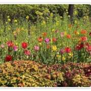 ヒメ日記 2026/03/22 15:06 投稿 品川 熟女の風俗最終章 新横浜店