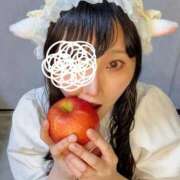 ヒメ日記 2026/03/31 12:13 投稿 ひつじ Noble