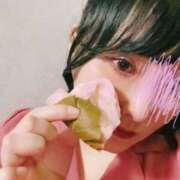 ヒメ日記 2026/04/01 12:55 投稿 ひつじ Noble